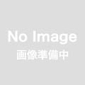 トミーテック 全国バスコレ80 JH045 1/80 日野 レインボーII 西日本鉄道